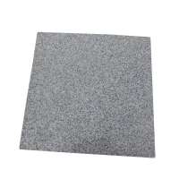 Hot Sell Chinese Grey Granite Tile G603